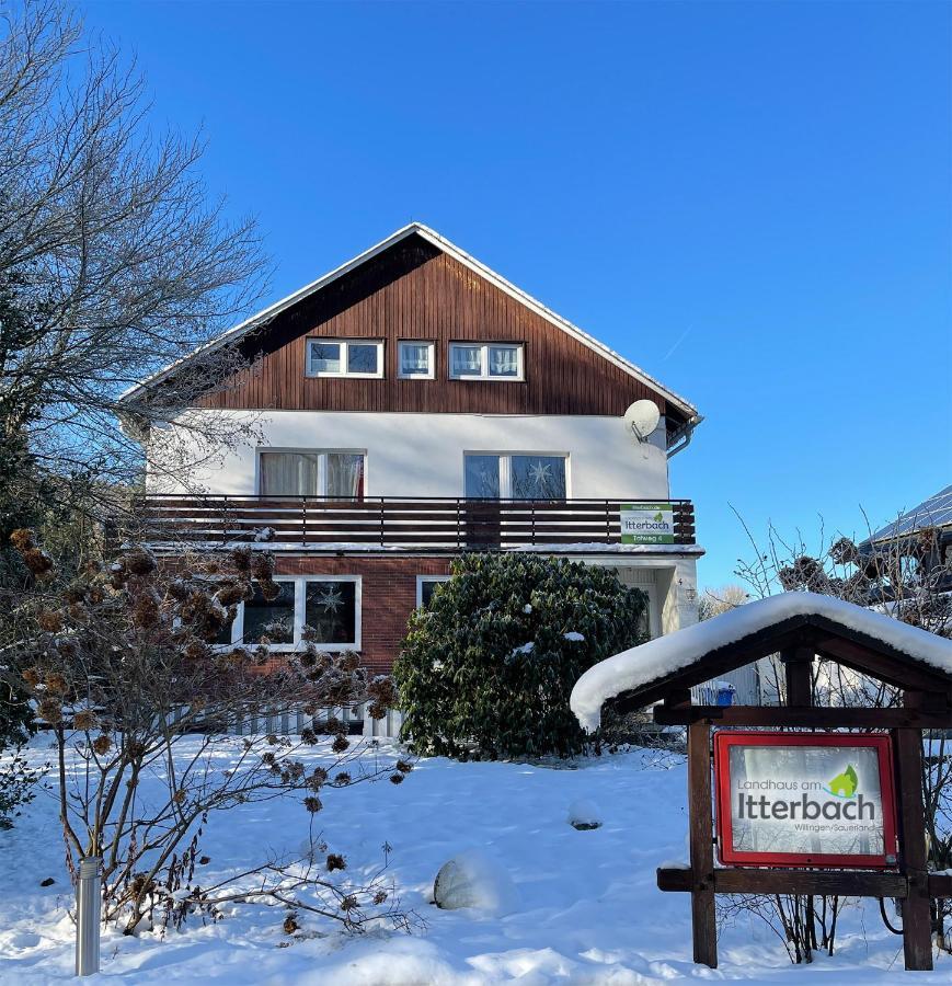 Landhaus Am Itterbach Willingen Віллінген Екстер'єр фото