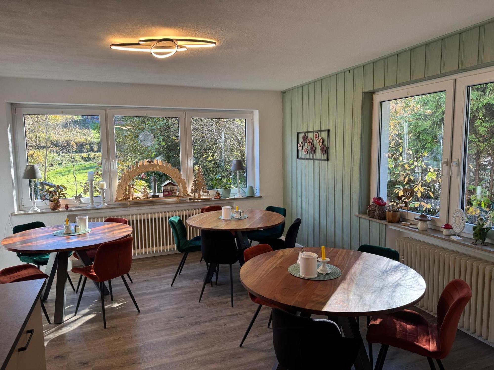 Landhaus Am Itterbach Willingen Віллінген Екстер'єр фото
